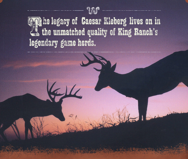 King Ranch Kingsville, Texas