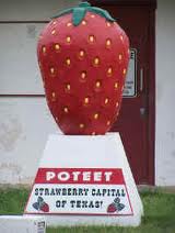 Poteet, Texas Strawberries Strawberry Festival Statue