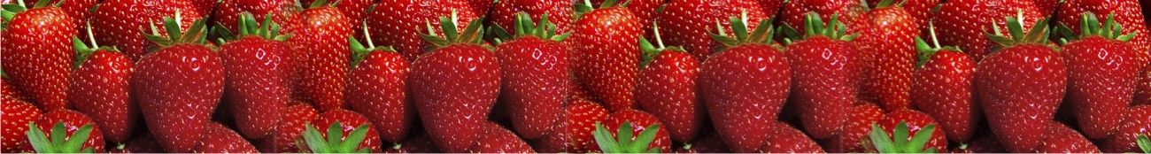 Poteet, Texas Strawberries